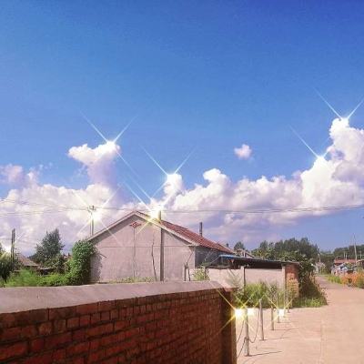 江南体育app下载方式最新